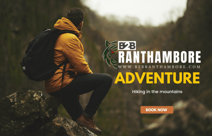 Ranthambore Adventure